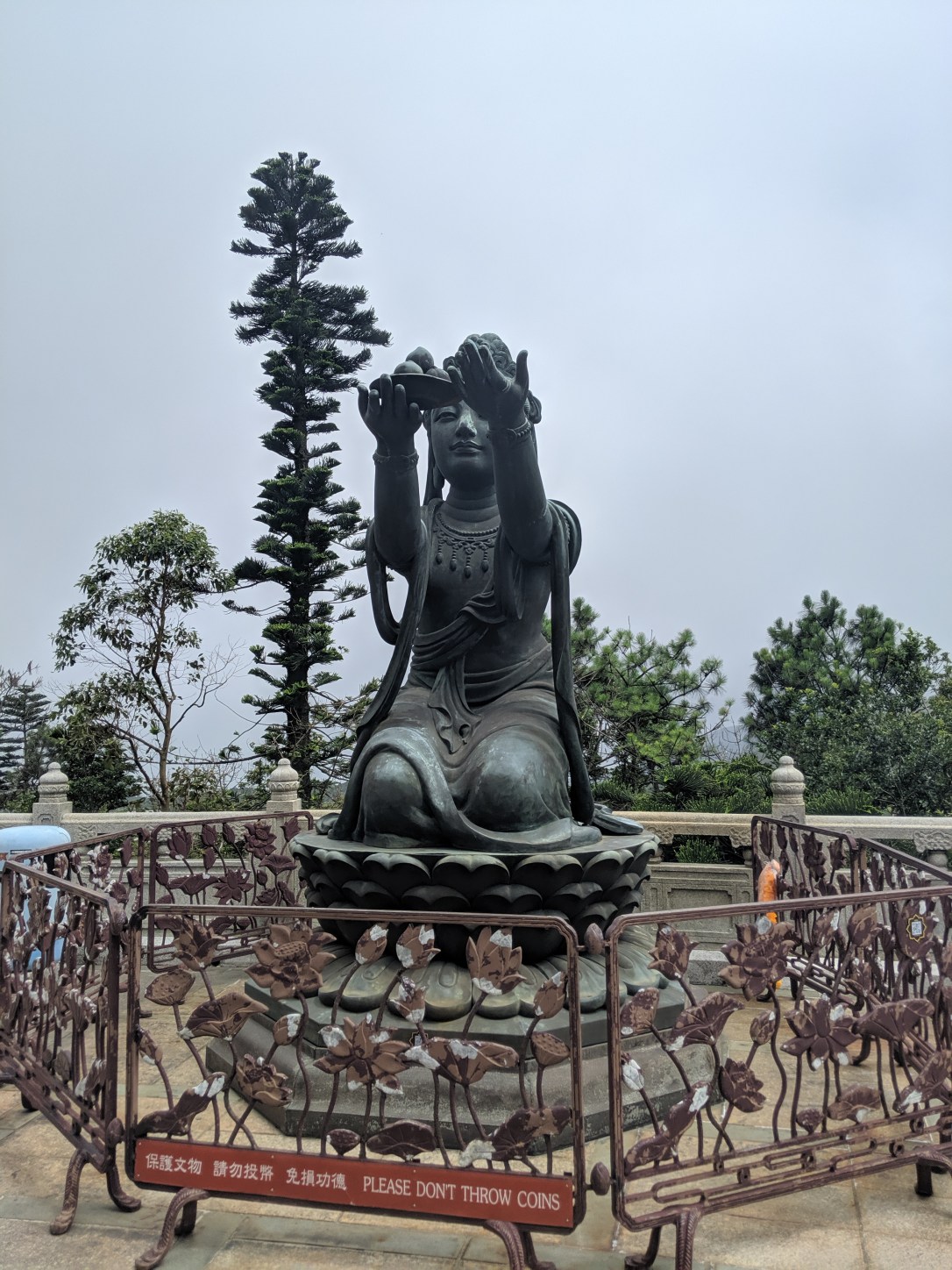 MVIMG_20190514_101650