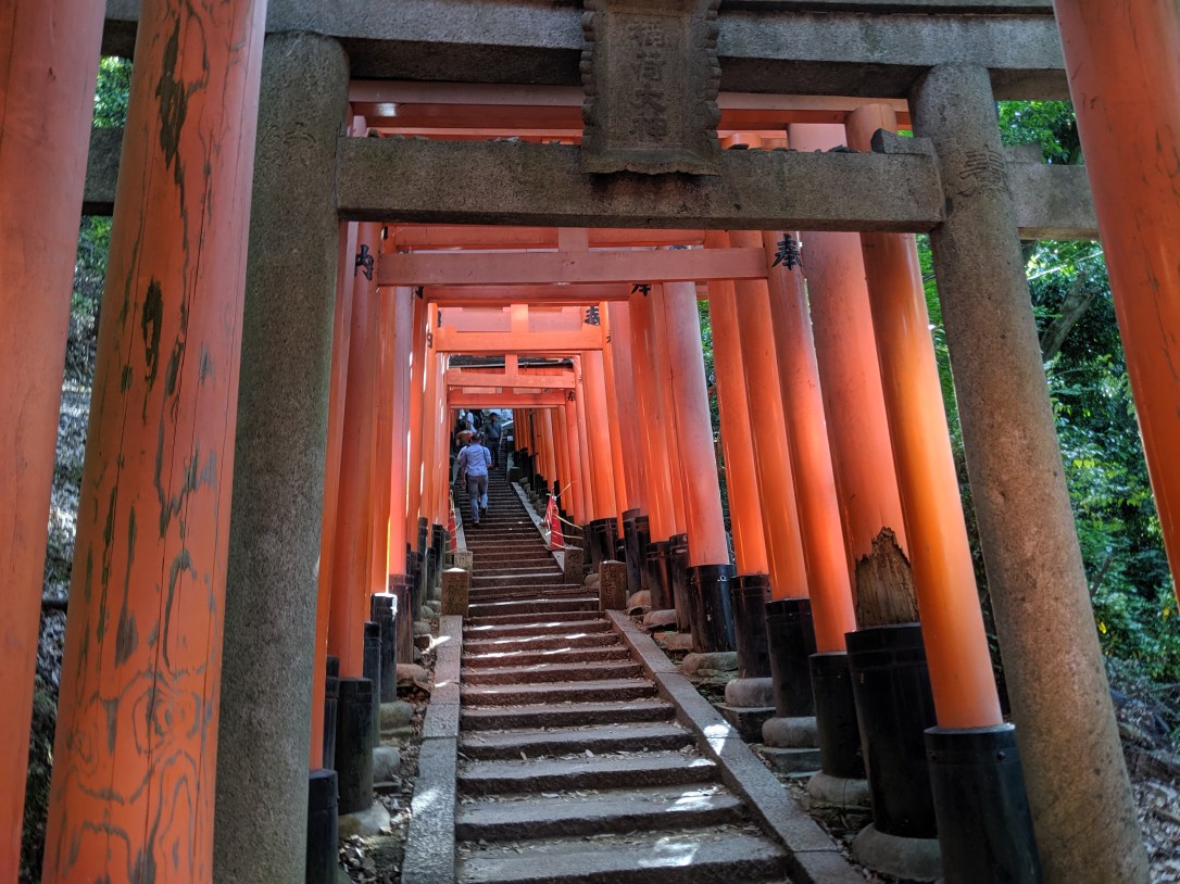 MVIMG_20190517_081619