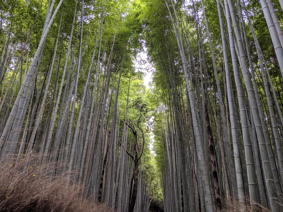 MVIMG_20190518_150502