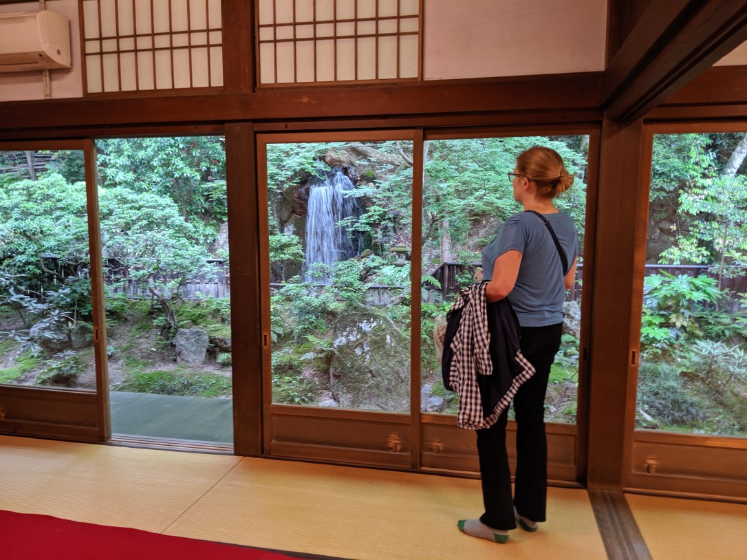 MVIMG_20190520_132045