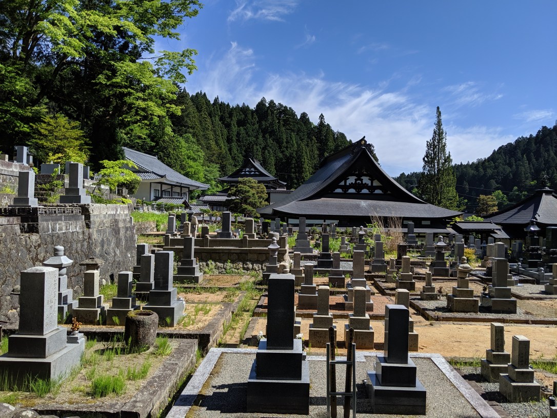 MVIMG_20190522_143909